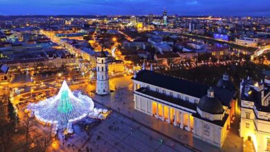 christmas tree illuminated by 50000 lightbulbs opens festive season in vilnius 583d32d5a2d75 880