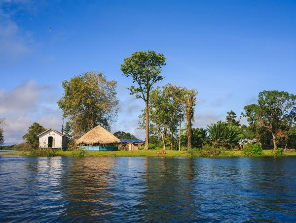 Amazonas