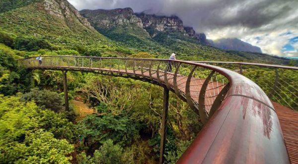 Kirstenbosch 2 entre os jardins mais bonitos do mundo