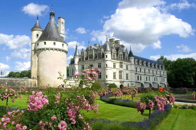 loire valley castles private day trip from paris in blois 281720