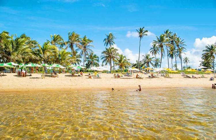 Praia do Papa Gente e uma das melhores praias e piscinas naturais da Bahia
