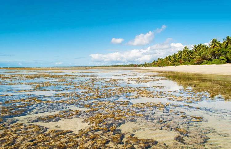 Quarta Praia e uma das melhores praias e piscinas naturais da Bahia