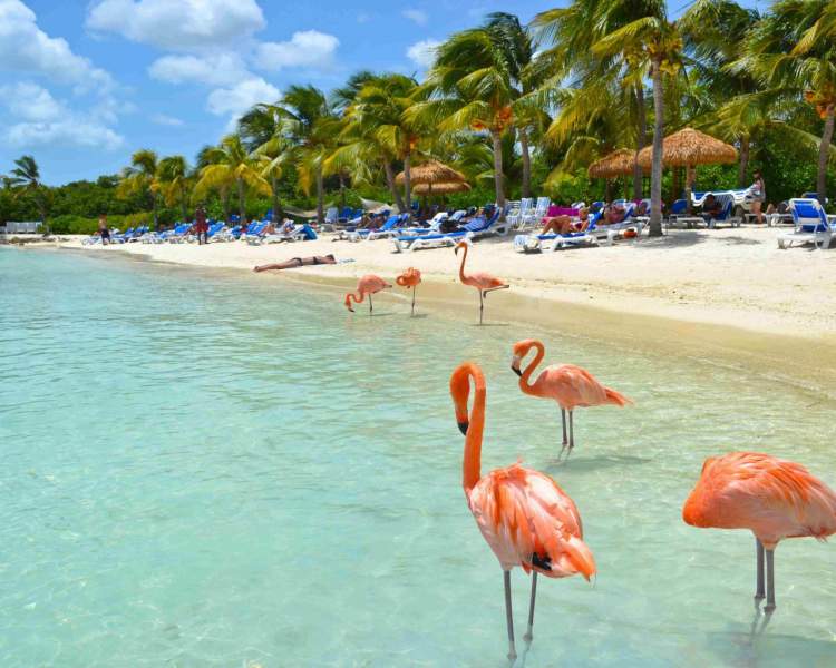 Aruba e um dos destinos baratos para viajar em outubro de 2019