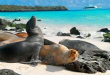 Galapagos e um dos destinos baratos para viajar em outubro de 2019