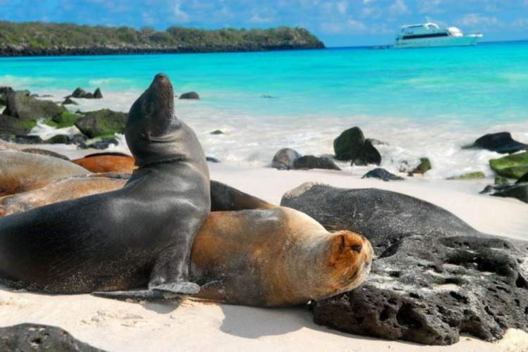 Galapagos e um dos destinos baratos para viajar em outubro de 2019