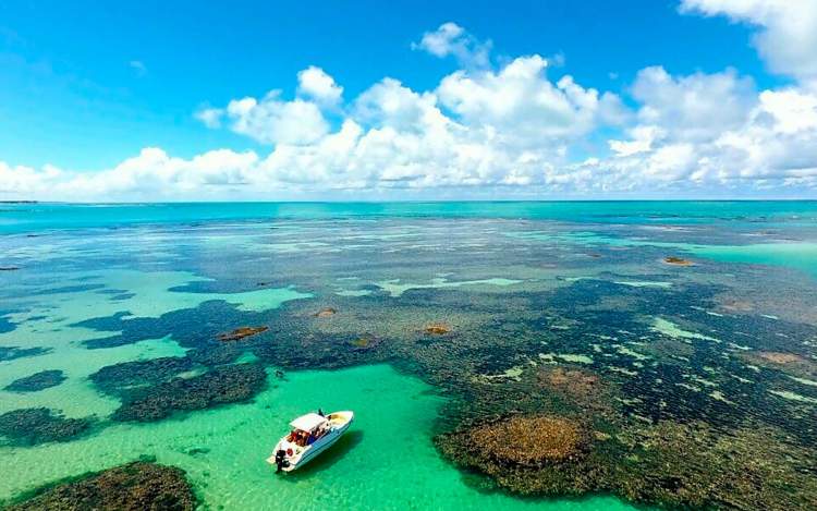 Praia de Paripueira e uma das Praias tranquilas e bonitas