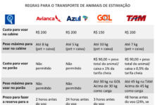 regras transporte animais aviao