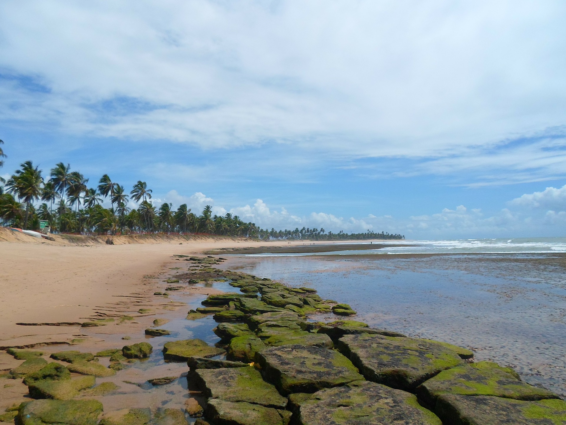 bahia forte