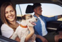 happiness couple and their dog traveling together