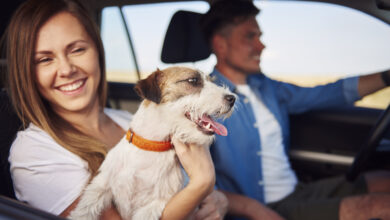happiness couple and their dog traveling together